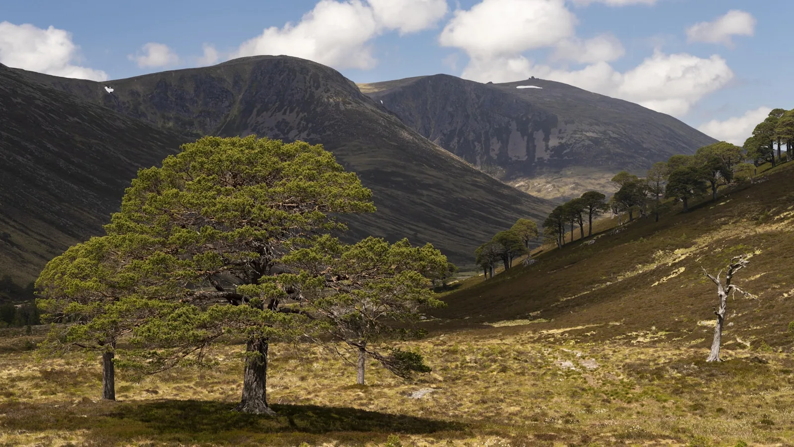 Couverture réseau dans les Highlands : ce qu'il faut vraiment savoir