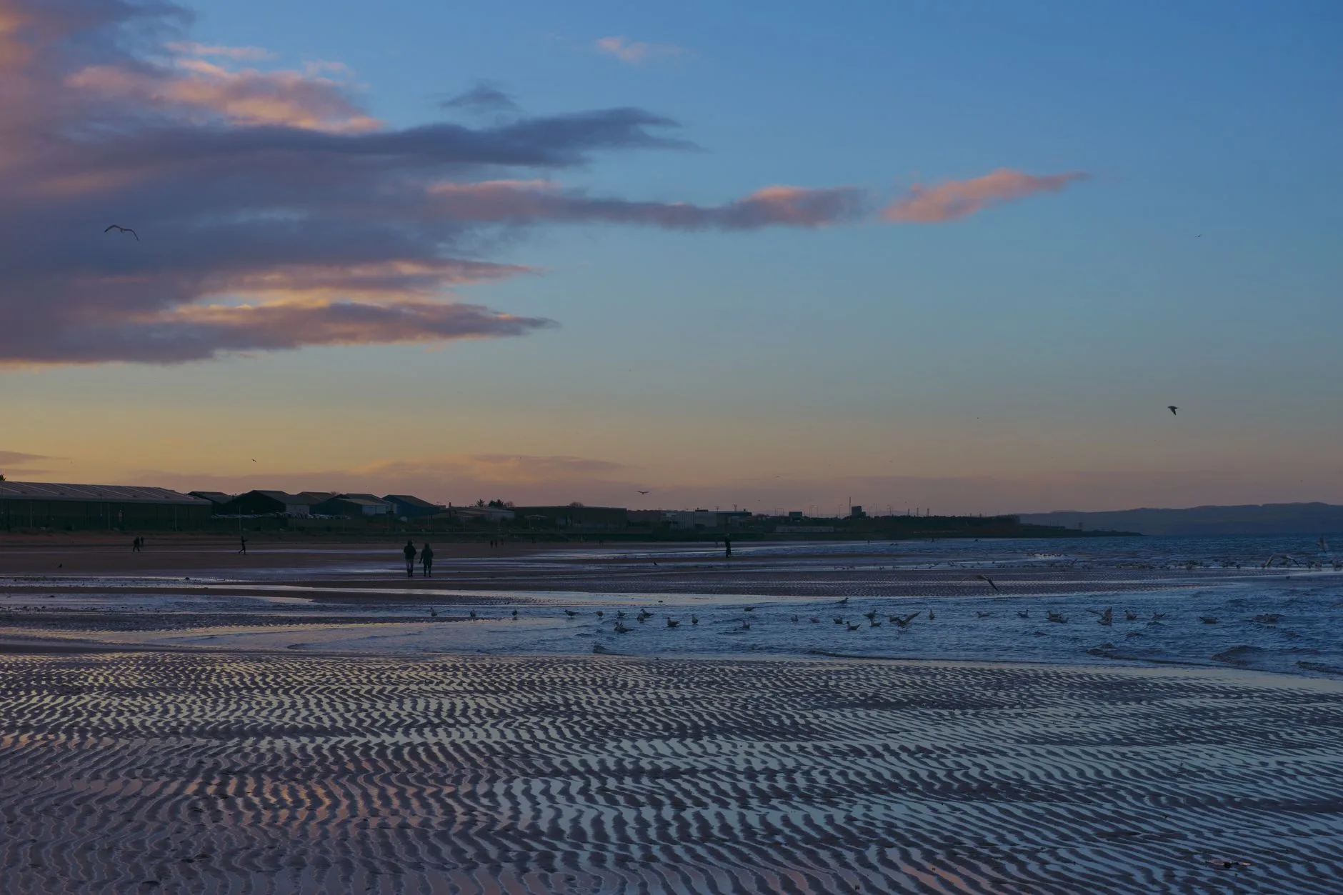 ️ West Sands Beach — Le cinéma en plein air